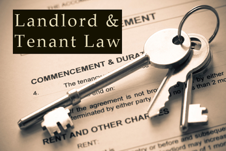 local tenant or international property in UK